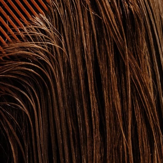 Dimensional Color Bundle at Hair by Elianna Edmondson in Birmingham, AL